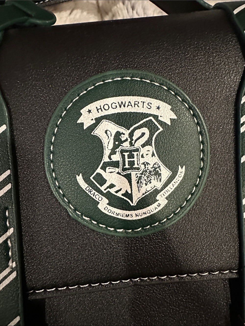 Black & Green Slytherin Crossbody Purse - Picture 3 of 6